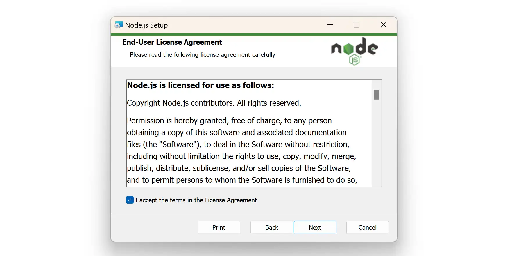 Setup di installazione di Node.js di Windows